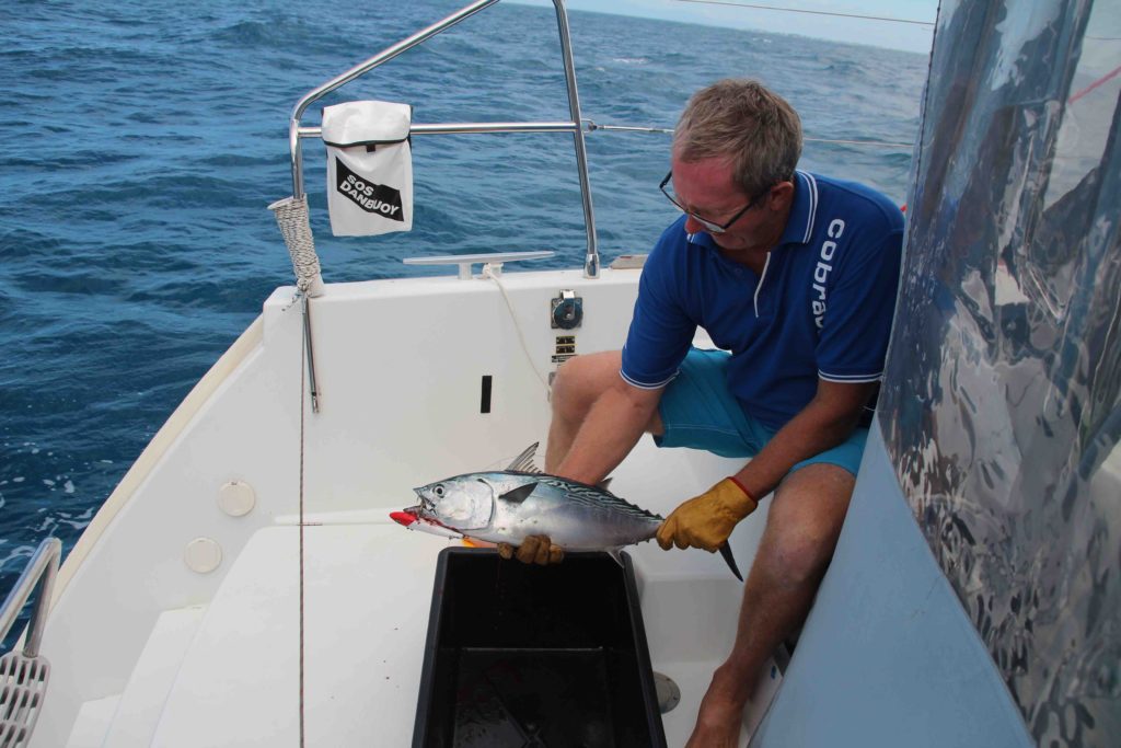 GW with a mackeral tuna