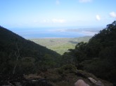 The view from Hinchinbrook