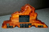 The Clendon Award