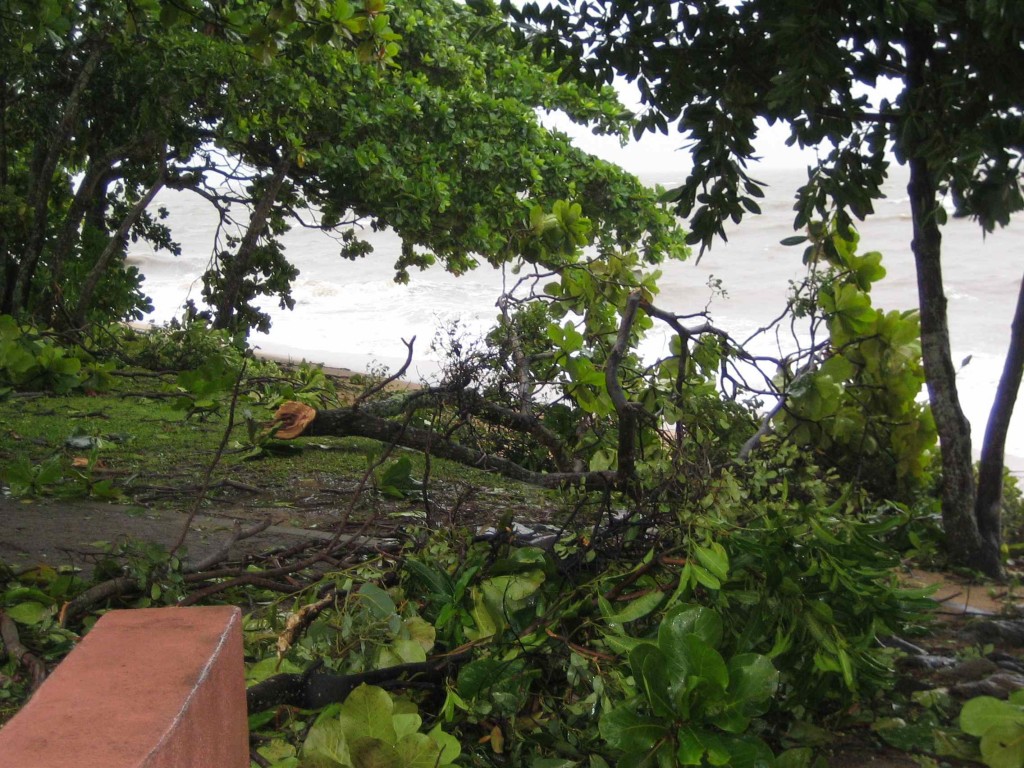 Cyclone Yasi damage