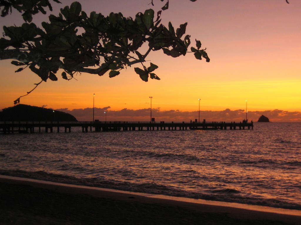 Palm Cove, Scout Hat