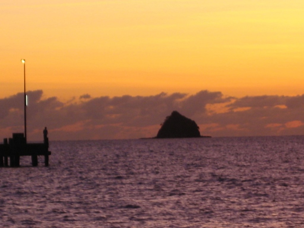 Palm Cove, Scout Hat,