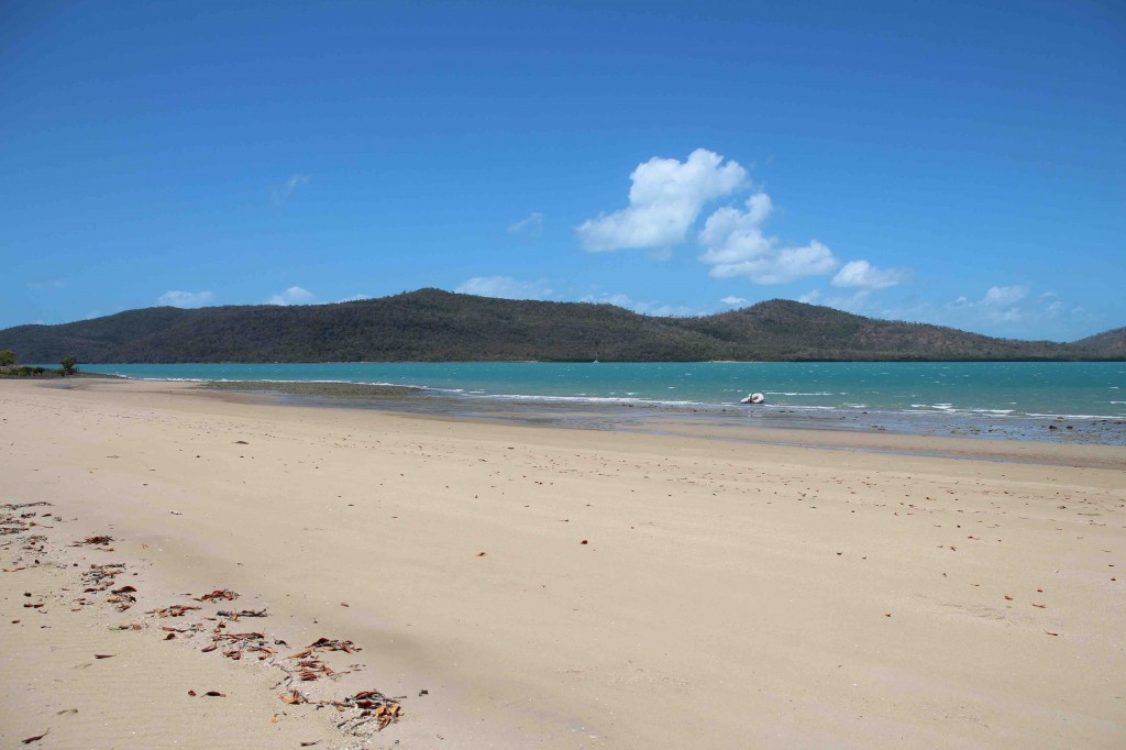 Double Bay looking deceptively calm