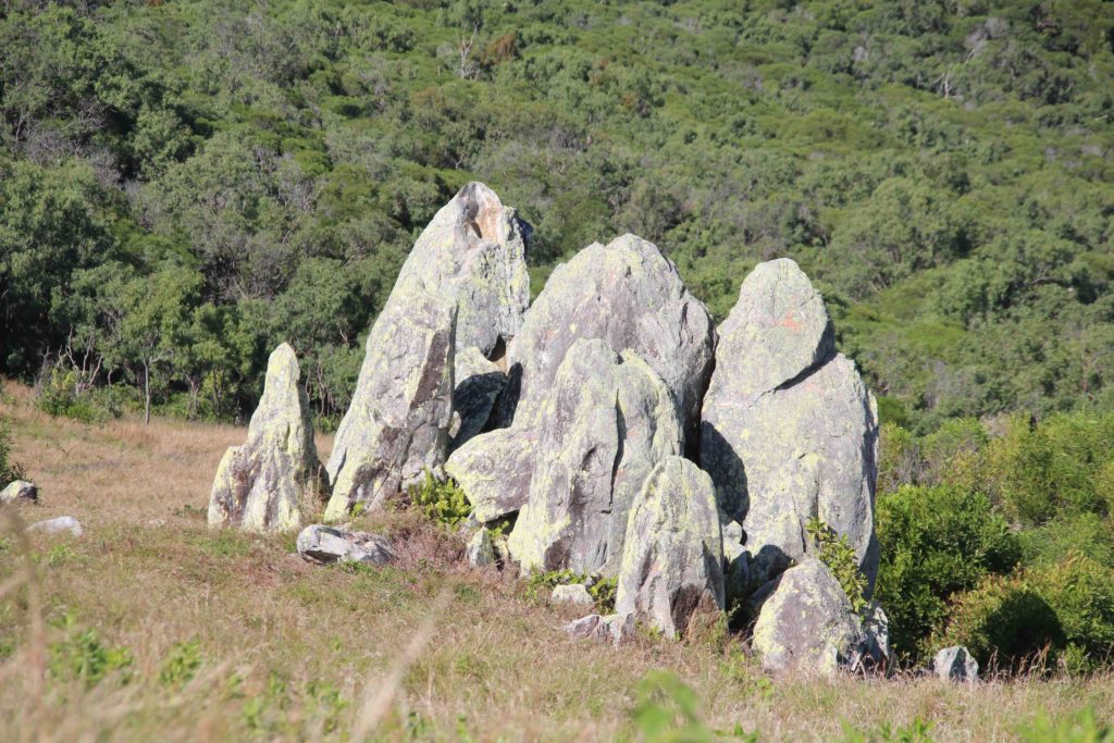 Exploring Orpheus Island – Helene Young