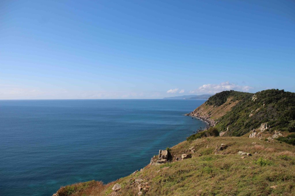 View looking east and south towards Palm Island